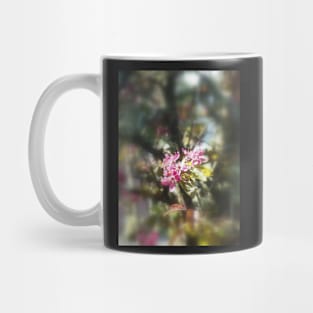 red Malus 'Radiant' crab apple blossoms #11 Mug